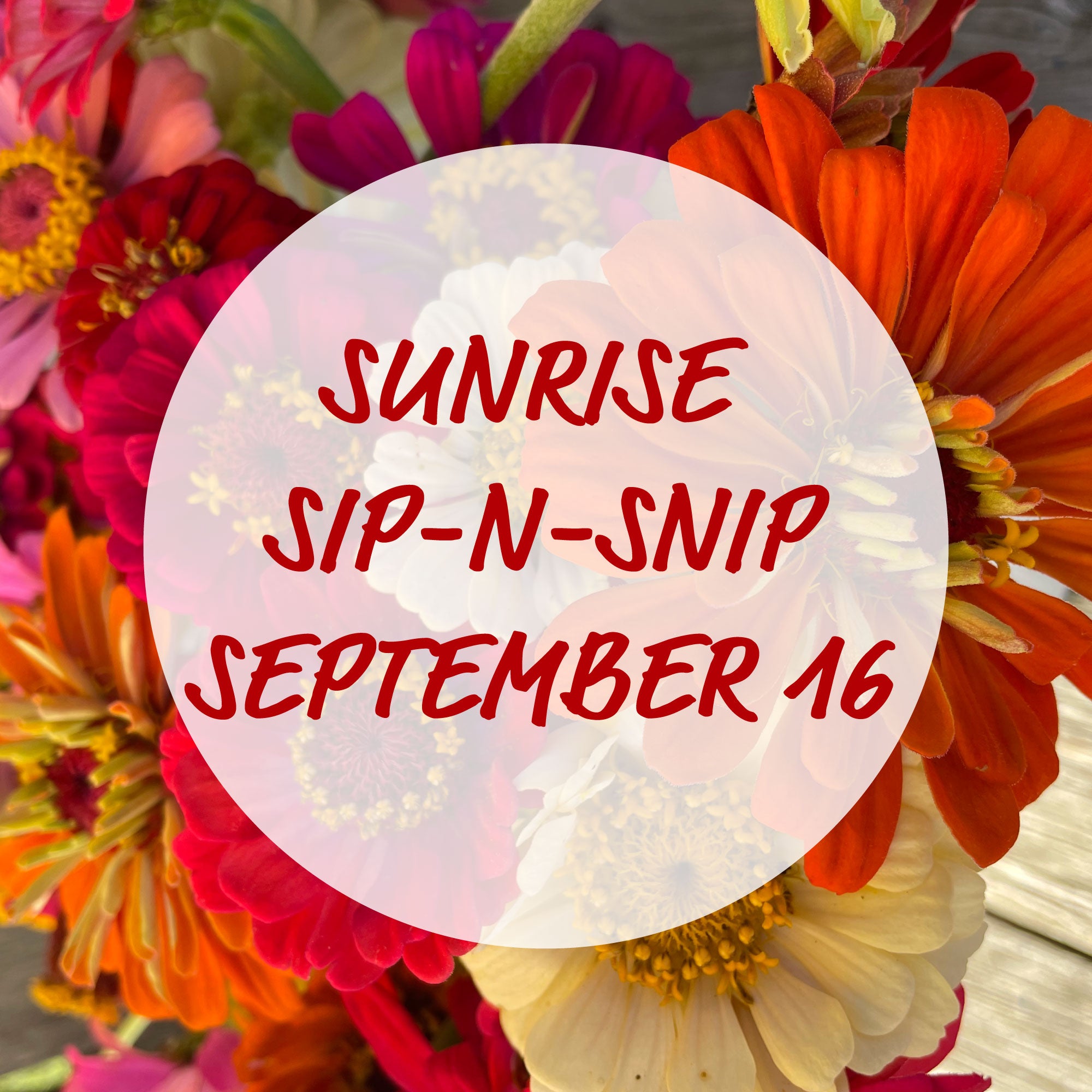 Sunrise Sip n Snip September 16, 2023 Northern Farm & Flowers LLC